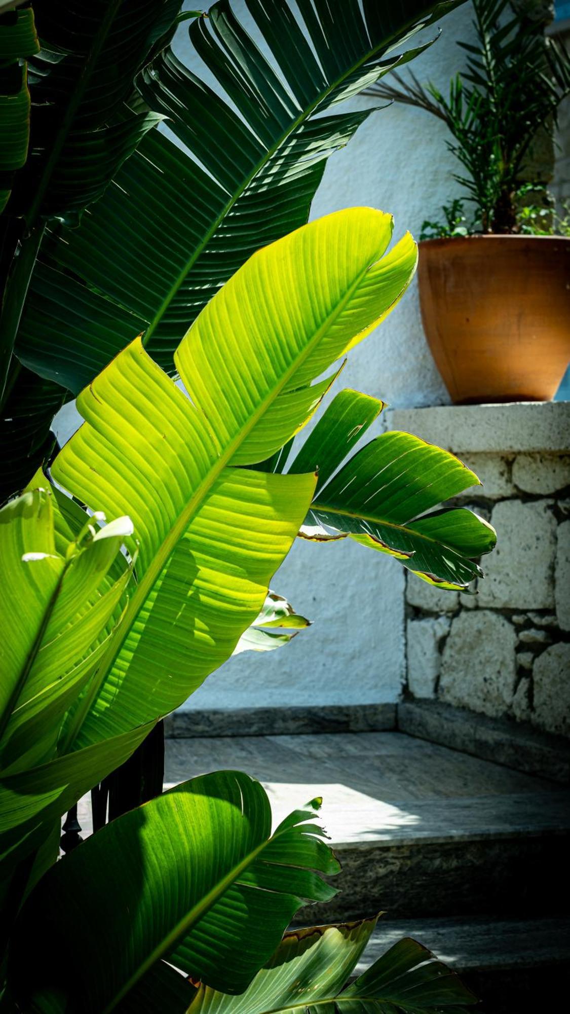 Pom Alacati Boutique Otel Кешме Экстерьер фото